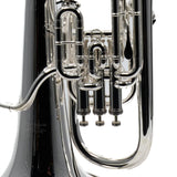 Willson Model 2900TA4/1TS Compensating Euphonium BRAND NEW