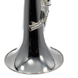 Willson Model 2900TA4/3-TS Compensating Euphonium With Trigger MINT CONDITION