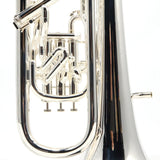 Willson Model 2950TA4/3T-S Compensating Euphonium with Trigger BRAND NEW