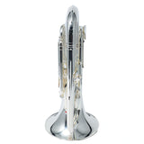 Yamaha Model YEP-642TSII 'Neo' Professional Euphonium SN 727104 DEMO MODEL