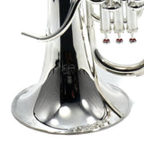 Yamaha Model YEP-642TSII 'Neo' Professional Euphonium SN 727824 DEMO MODEL