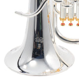 Yamaha Model YEP-842TS Custom Compensating Euphonium SN 733903 DEMO MODEL