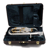 Yamaha Model YEP-842TS Custom Compensating Euphonium SN 733903 DEMO MODEL