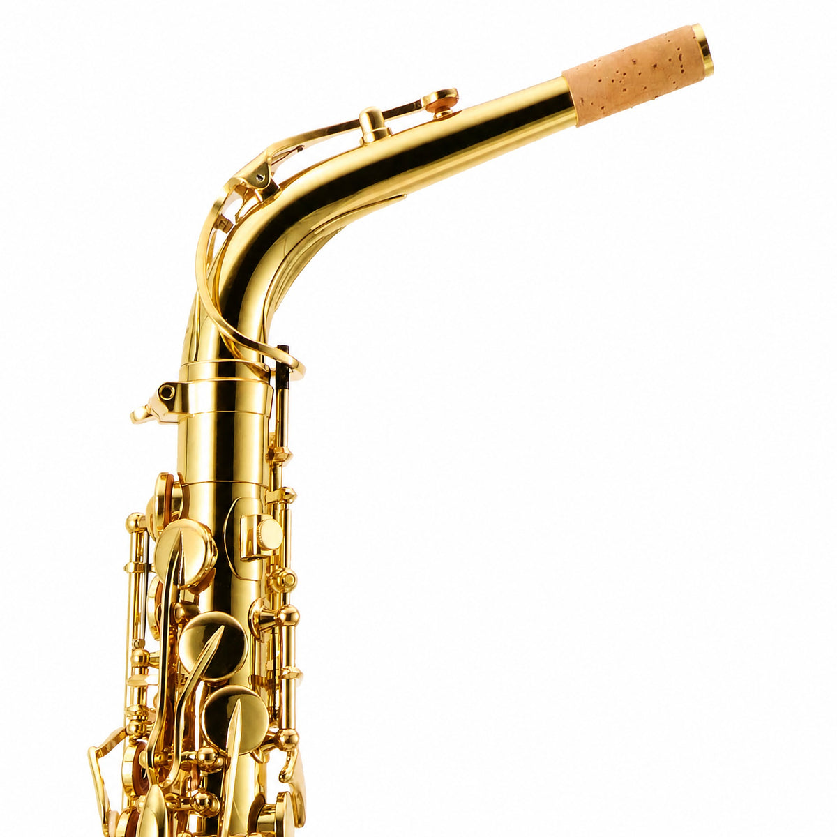 Yanagisawa AWO1 Professional Alto Saxophone in Gold Lacquer