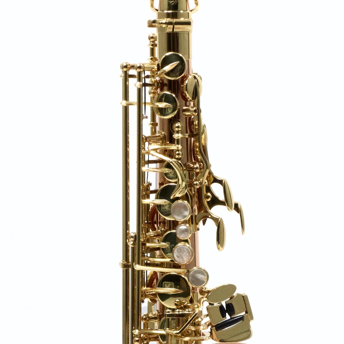 Yanagisawa AWO2 Bronze Professional Alto Saxophone