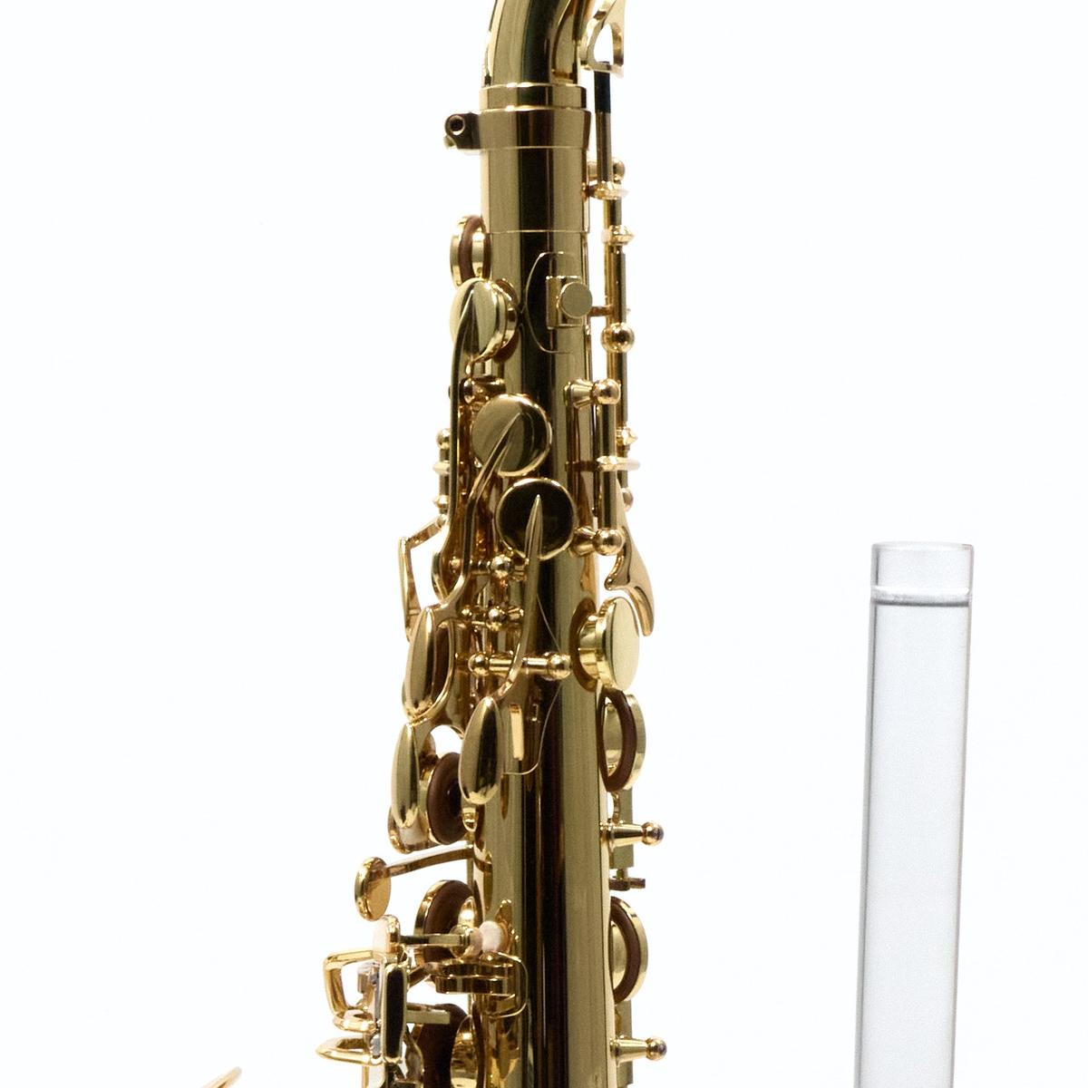 Yanagisawa Model AWO10 'Elite' Professional Alto Saxophone