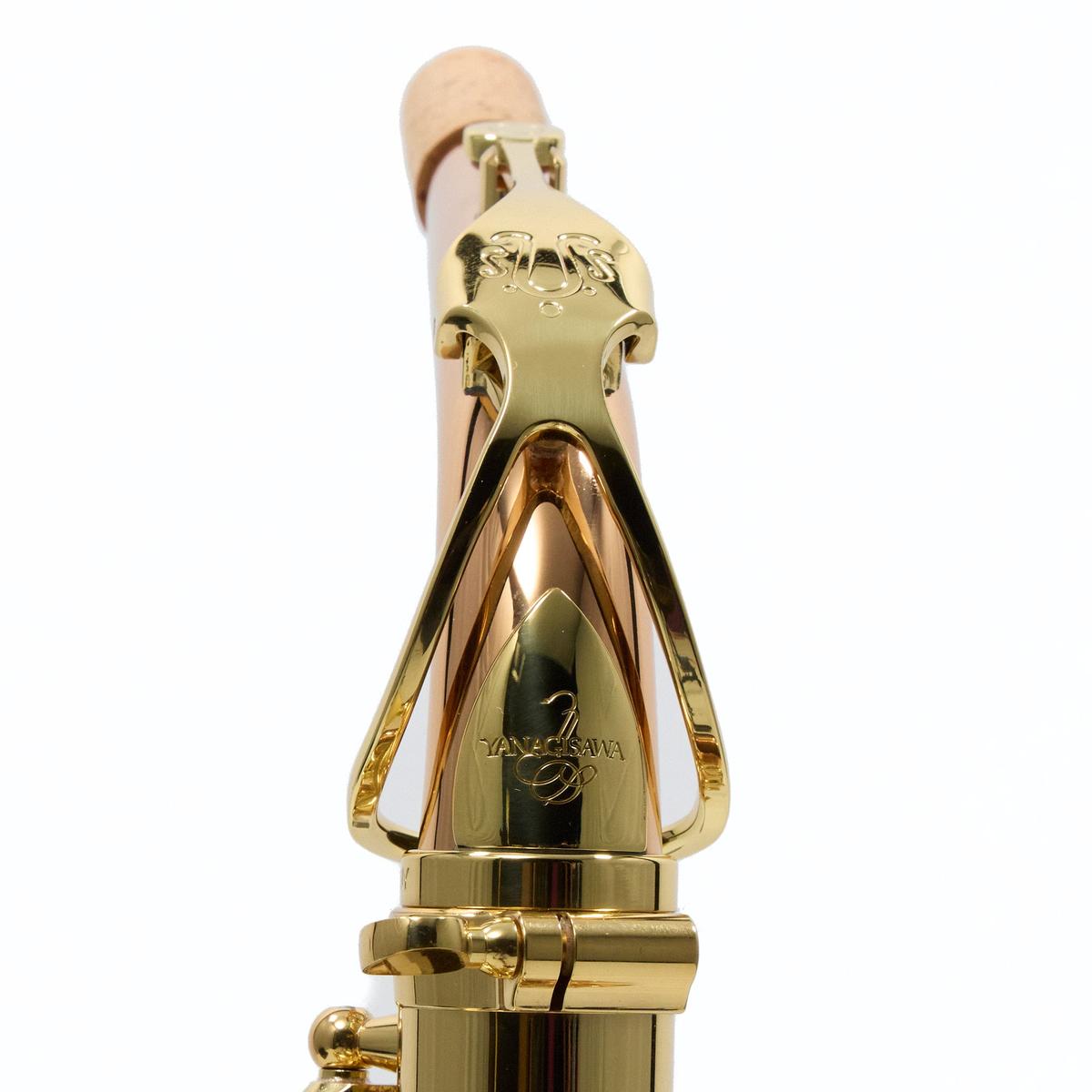 Yanagisawa Model AWO2 Bronze Professional Alto Saxophone