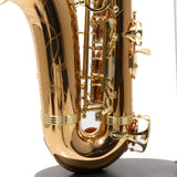 Yanagisawa Model AWO2 Bronze Professional Alto Saxophone SN 343678 SUPERB