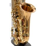 Yanagisawa Model AWO2 Bronze Professional Alto Saxophone SN 343678 SUPERB