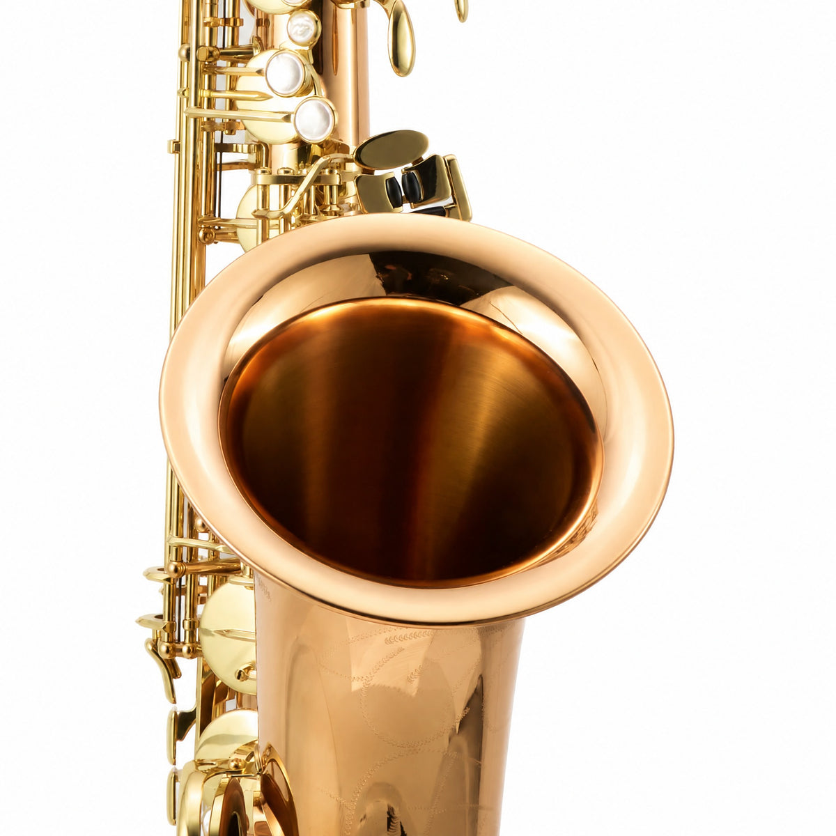 Yanagisawa TWO2 Professional Tenor Saxophone in Lacquered Bronze