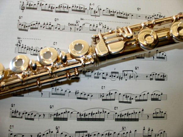 The Great Flute Debate: Open or Closed Hole View