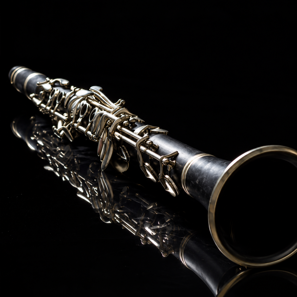 Professional Clarinets