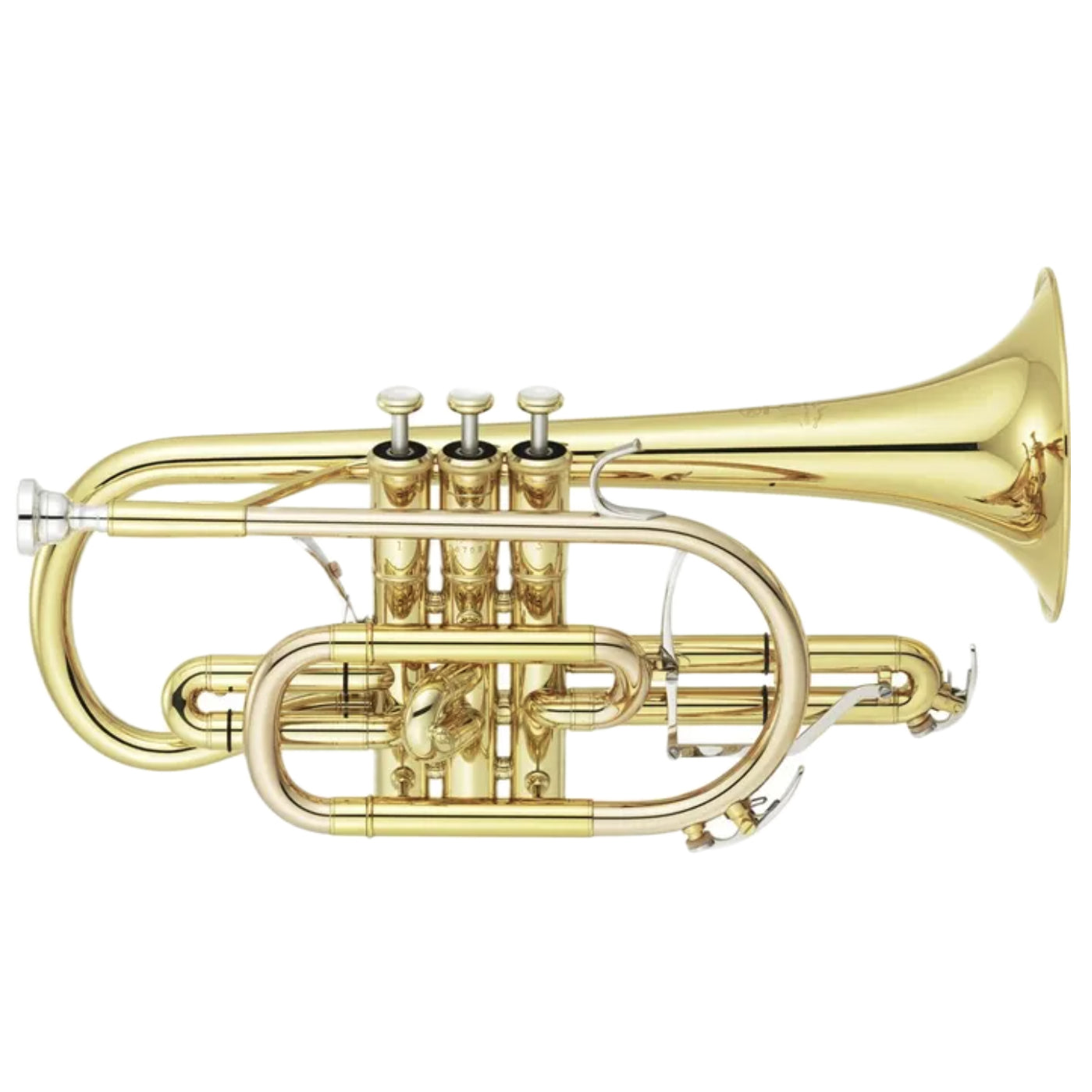 Pristine cornet displayed against a white background