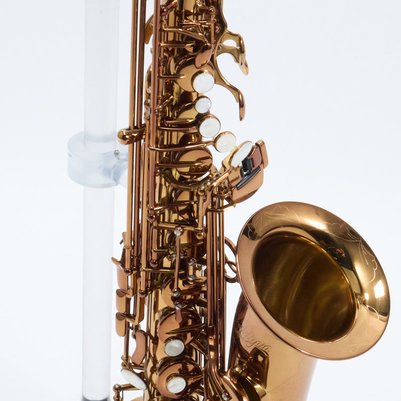 Antigua Winds Model AS6200AM 'Pro One' Alto Saxophone SN 211044 OPEN BOX