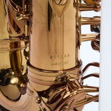 Antigua Winds Model AS6200AM 'Pro One' Alto Saxophone SN 211044 OPEN BOX