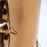 Antigua Winds Model AS6200AM 'Pro One' Alto Saxophone SN 211044 OPEN BOX
