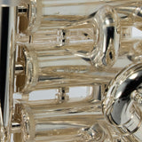 Willson Model 2900TA4/1S  Compensating Euphonium SN W9380 GORGEOUS