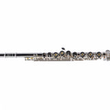 William S. Haynes AF780SE-BO C# 'Amadeus' Solid Silver Flute SN 2403991 OPEN BOX- for sale at BrassAndWinds.com