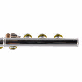 William S. Haynes AF780SE-BO C# 'Amadeus' Solid Silver Flute SN 2403991 OPEN BOX- for sale at BrassAndWinds.com