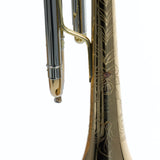 Eastman Model ETR822G Professional Bb Trumpet SN 908573 OPEN BOX