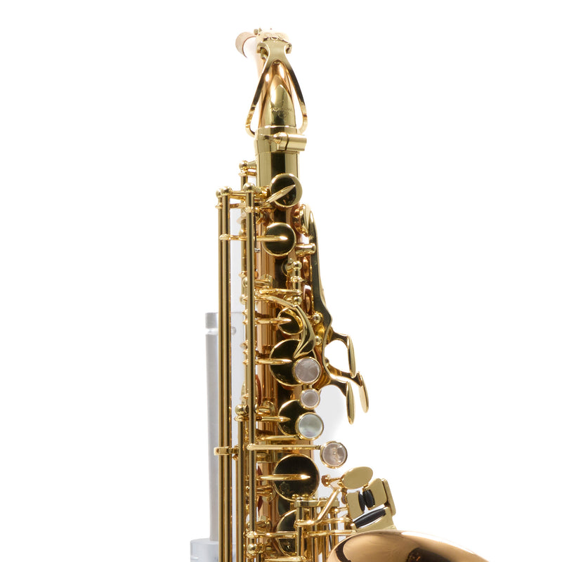 Yanagisawa Model AWO2 Bronze Professional Alto Saxophone SN 343678 SUPERB