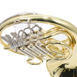 C.G. Conn Model 11DN Professional Geyer Wrap French Horn SN 657592 SUPERB