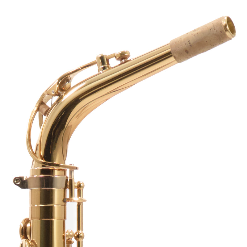 Eastman Model EAS850  'Rue Saint-Georges' Alto Saxophone SN A2440430 EXCELLENT