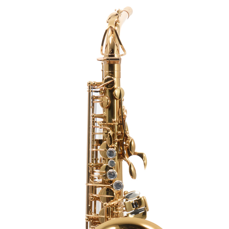 Eastman Model EAS850  'Rue Saint-Georges' Alto Saxophone SN A2440430 EXCELLENT