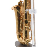 Eastman Model EAS850  'Rue Saint-Georges' Alto Saxophone SN A2440430 EXCELLENT