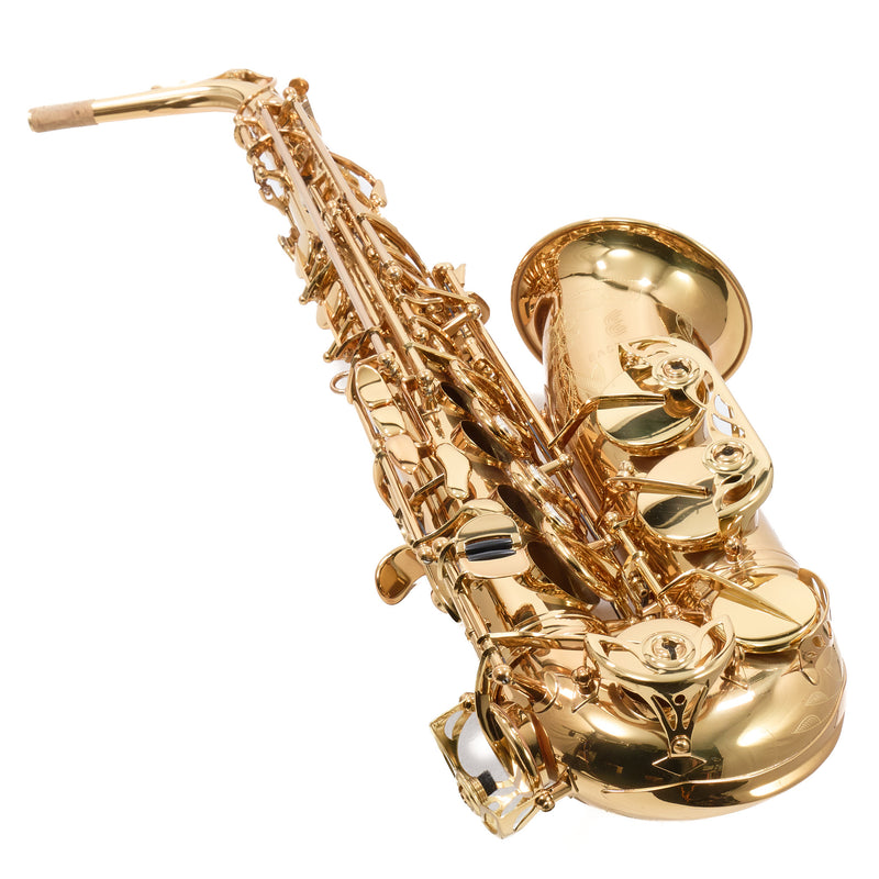 Eastman Model EAS850  'Rue Saint-Georges' Alto Saxophone SN A2440430 EXCELLENT