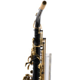 Eastman Model EAS451BL Performance Alto Saxophone SN A2303039 OPEN BOX