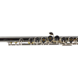 William S. Haynes Model AF680SE-BO 'Amadeus' Flute SN B2302344 RENEWED