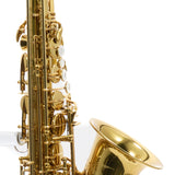 Eastman Model EAS650 'Rue Saint-Georges' Alto Saxophone SN A2440458 RENEWED