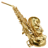 Eastman Model EAS650 'Rue Saint-Georges' Alto Saxophone SN A2440458 RENEWED