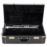 Flip Oakes 'Wild Thing' Bb Trumpet with Three Tuning Slides SN 50958 EXCELLENT