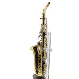 Selmer Model SAS202 Student Alto Saxophone in Lacquer SN AJ12625320 EXCELLENT