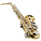 Selmer Model SAS202 Student Alto Saxophone in Lacquer SN AJ12625320 EXCELLENT