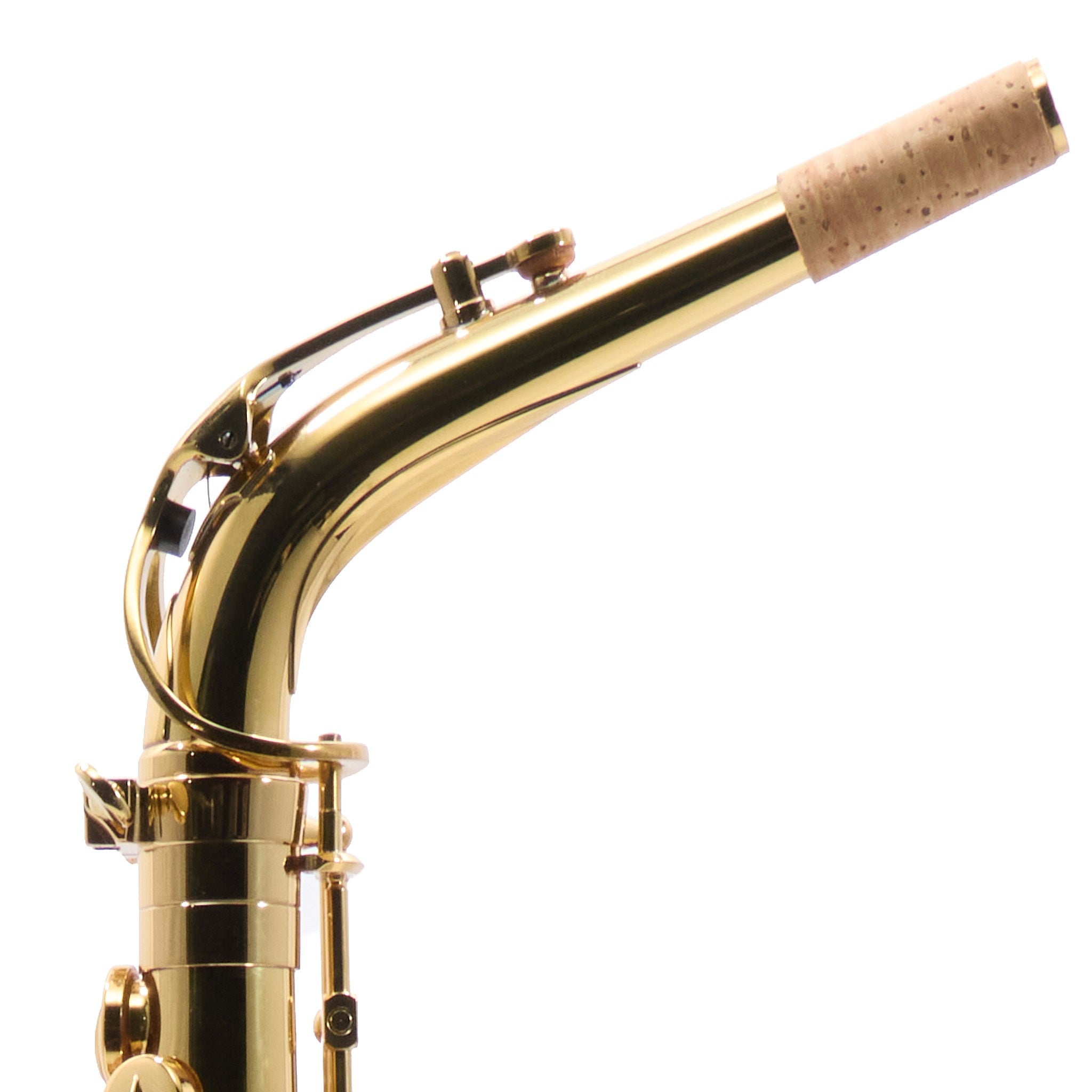 Giardinelli GAS-10 Advanced-Series Alto Saxophone in Lacquer