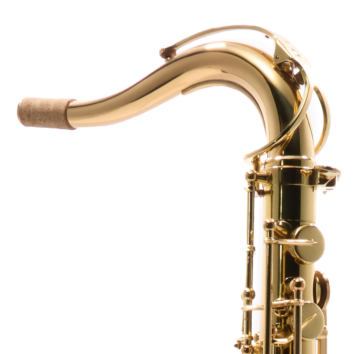 Selmer STS511 Intermediate Bb Tenor Saxophone in Gold Lacquer