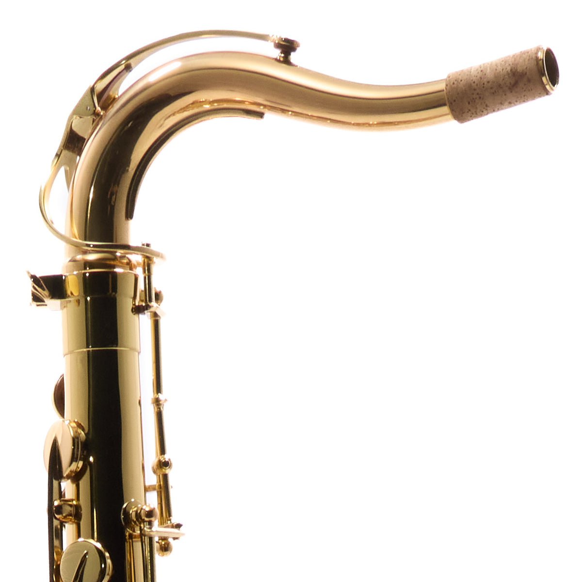 Selmer STS511 Intermediate Bb Tenor Saxophone in Gold Lacquer