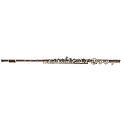 William S. Haynes Custom 14K Gold Flute with Gold Toneholes, Offset G, C# Trill