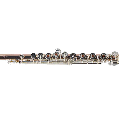 William S. Haynes Custom 14K Gold Flute with Gold Toneholes, Offset G, C# Trill