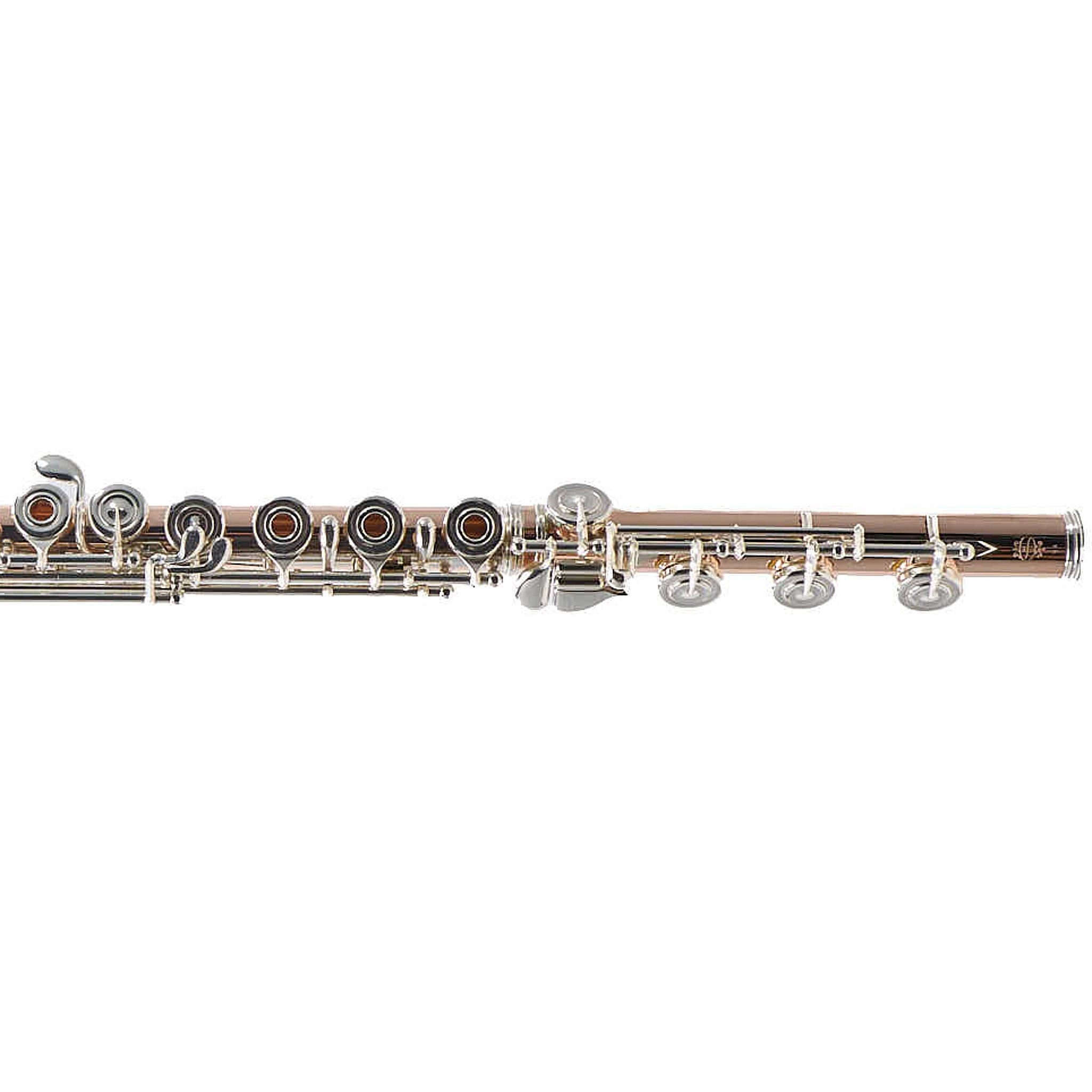 William S. Haynes Custom 14K Gold Flute with Gold Toneholes, Offset G, C# Trill