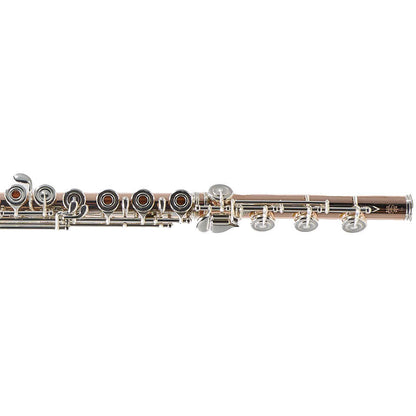William S. Haynes Custom 14K Gold Flute with Gold Toneholes, Offset G, C# Trill