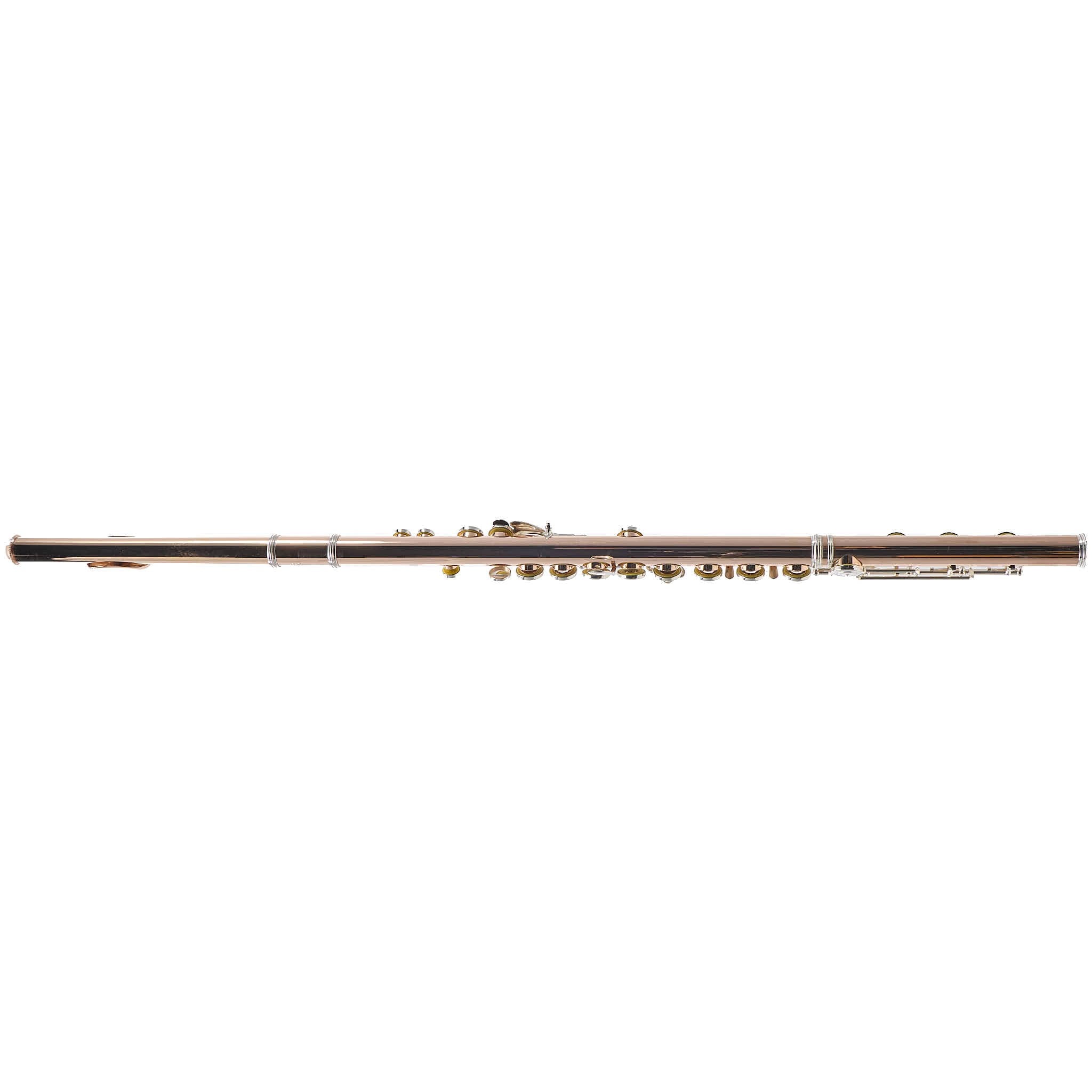 William S. Haynes Custom 14K Gold Flute with Gold Toneholes, Offset G, C# Trill