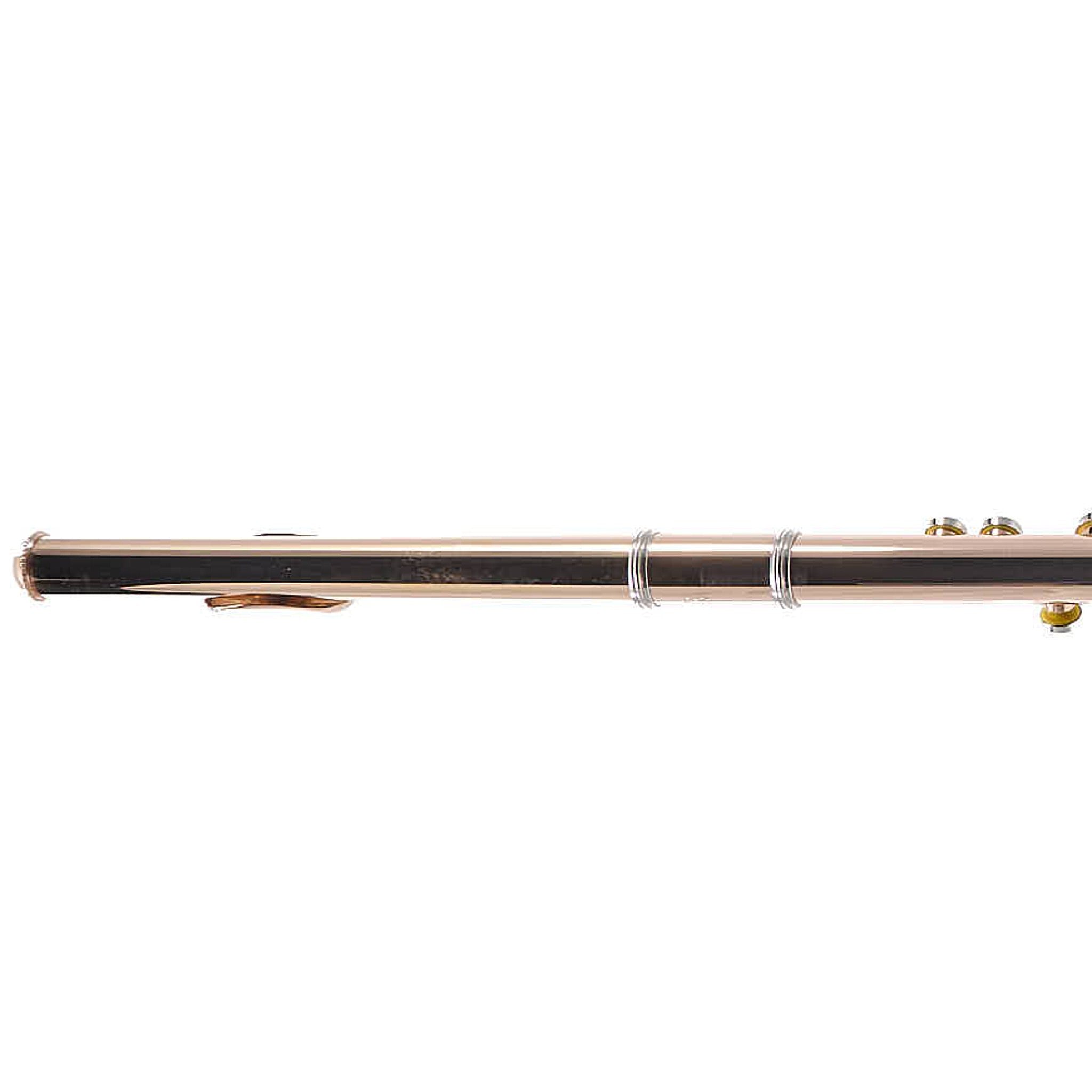 William S. Haynes Custom 14K Gold Flute with Gold Toneholes, Offset G, C# Trill