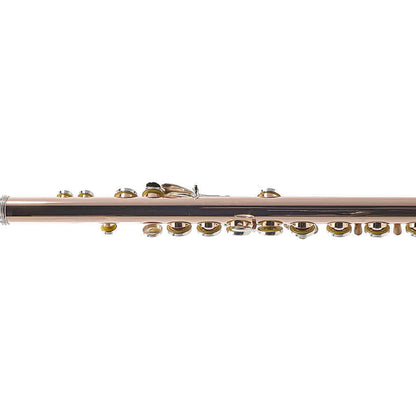 William S. Haynes Custom 14K Gold Flute with Gold Toneholes, Offset G, C# Trill