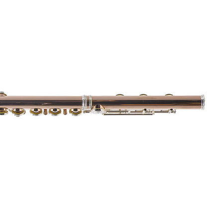 William S. Haynes Custom 14K Gold Flute with Gold Toneholes, Offset G, C# Trill