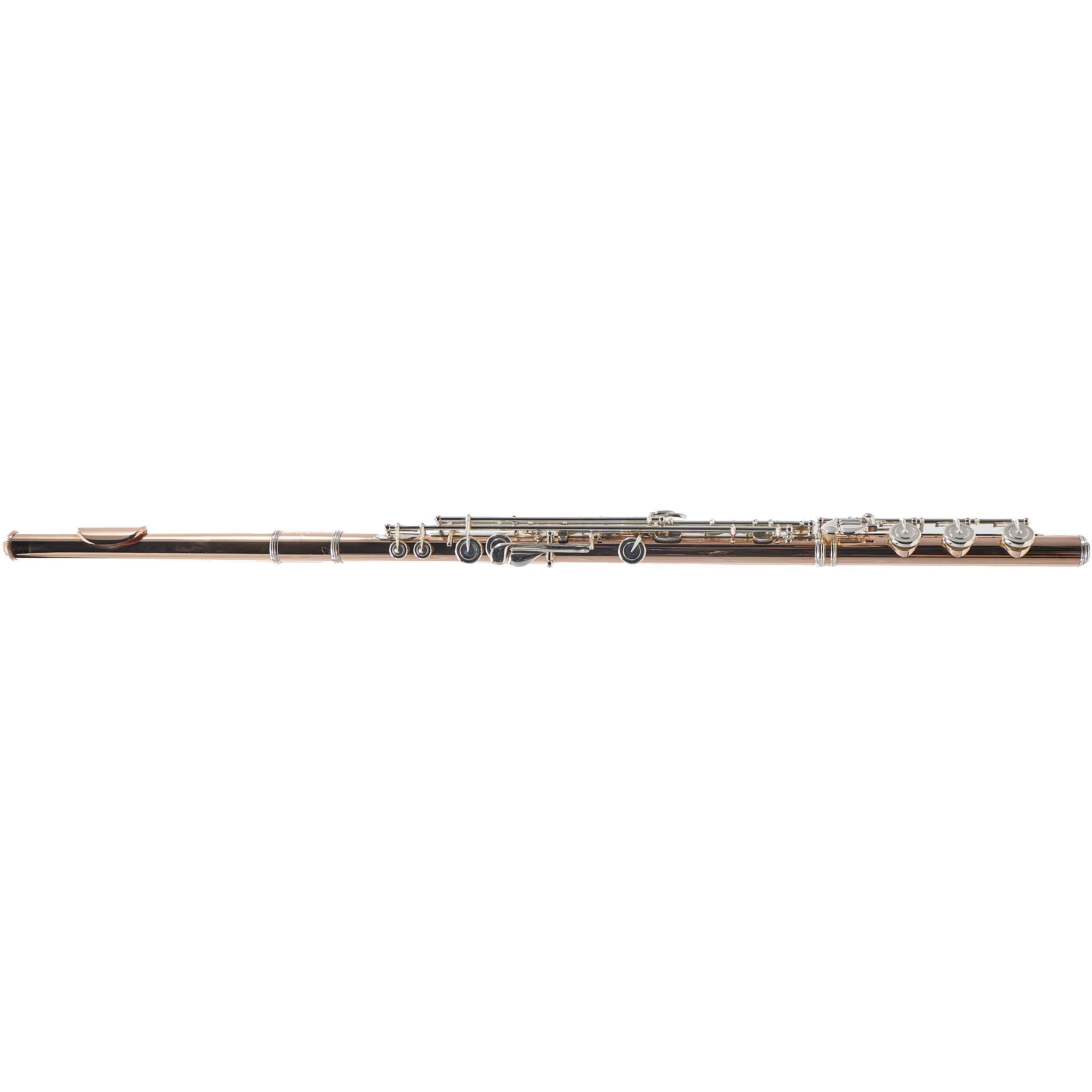 William S. Haynes Custom 14K Gold Flute with Gold Toneholes, Offset G, C# Trill