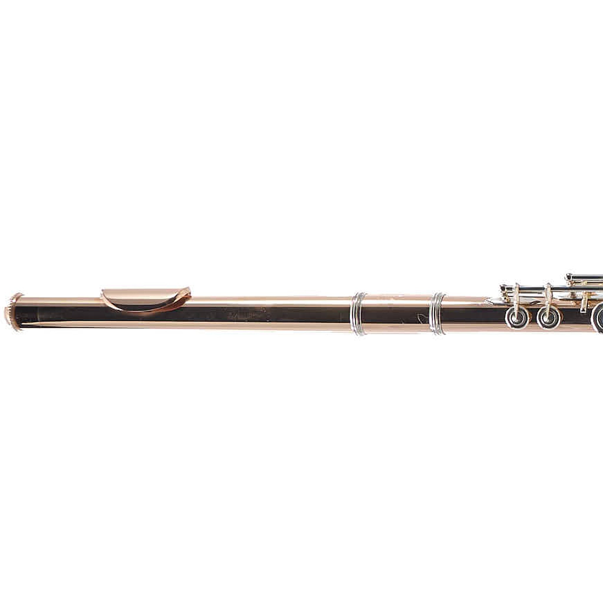 William S. Haynes Custom 14K Gold Flute with Gold Toneholes, Offset G, C# Trill